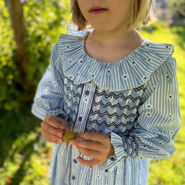 Elizabeth Blackwell Dress Embroidered Daisy with Blackberries and Cream Hand Smocking